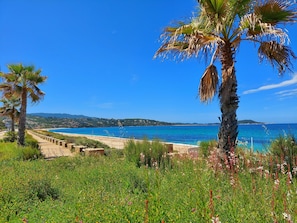 Plage / Beach