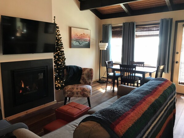 Living Area, new gas fire place