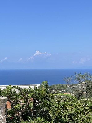 Beach/ocean view