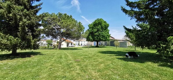 Property grounds