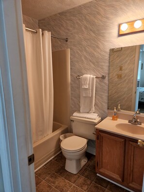 Private bathroom - Access from Master Bedroom (Bedroom #1)