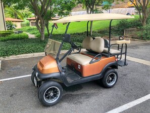 A 4-seater, electric golf cart is included with your booking.  The cart can be used to get around Coco, and even to the beach south of town (Playa Ocotal).  There are charging stations right in the parking lot of the condo building!  