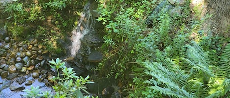 Terrenos do alojamento