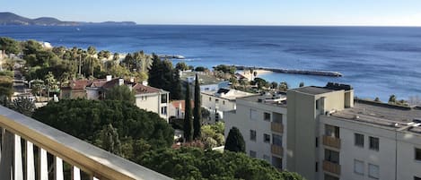 Vue sur la plage/l’océan