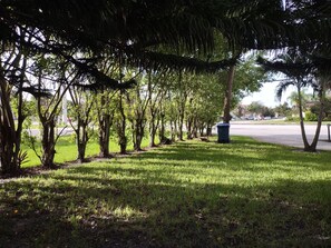 Dhis is what you going to see when you arrive