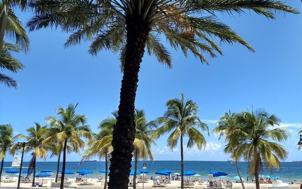 Playa