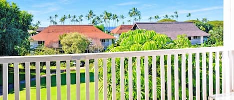 View from your own private lanai (balcony).