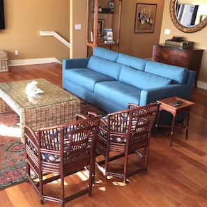 Great room features king sleeper sofa by Design Within Reach