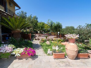 Flower, Plant, Sky, Plant Community, Building, Flowerpot, Window, Shade, Grass, House