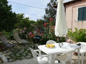 Pflanze, Blume, Möbel, Tabelle, Fenster, Stuhl, Gebäude, Blumentopf, Himmel, Tisch Im Freien