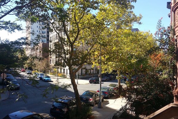 Street from Stoop
