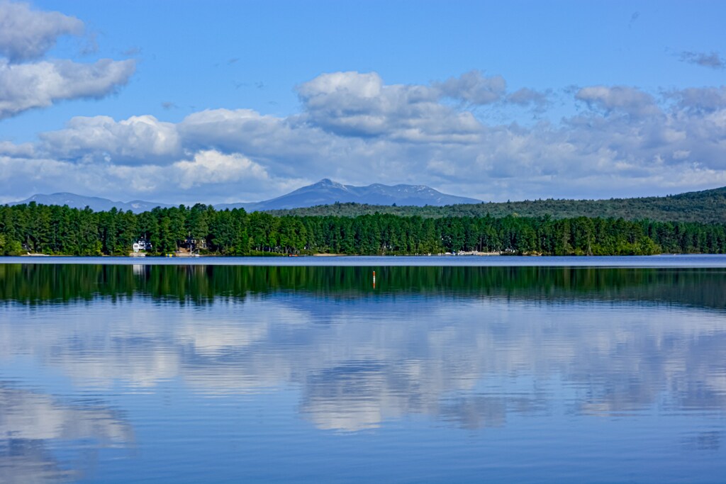 A mirrored image of a dense treeline and puffy clouds in the sky are seen in a lake with minimal ripples.