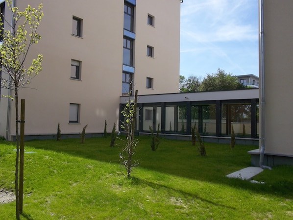 Trädgård