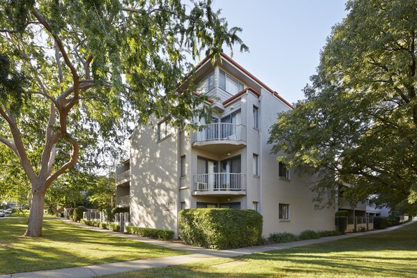 Trädgård