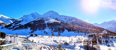 Sneeuw- en skisporten