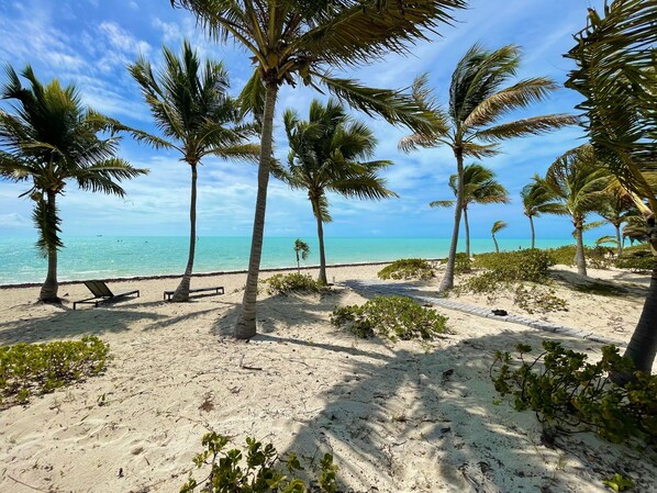 One of the most beautiful beaches in the World!!!