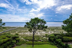 5 Brown Pelican - Beach View