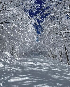 Sports d’hiver