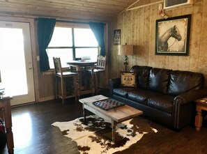 Open living area includes a full size pull out sofa bed.