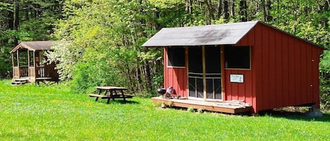 Red Eft Rustic Cabin at Camp Earth Connection