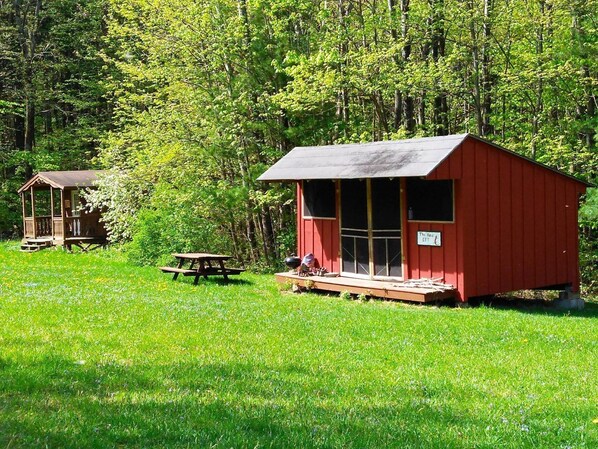 Red Eft Rustic Cabin at Camp Earth Connection