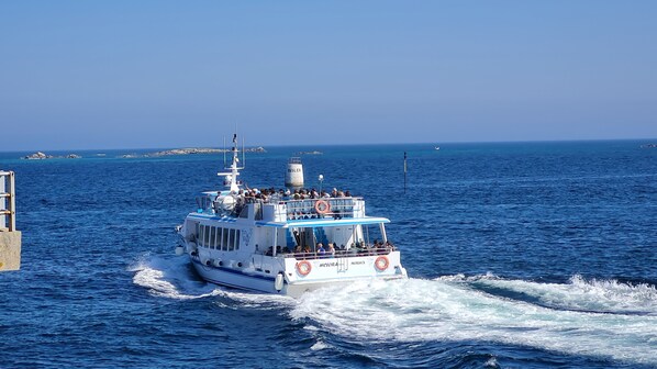 Vers Enez Vazh, l'Ile de Batz