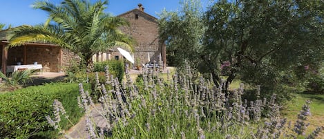 IL VECCHIO MULINO TOSCANA
