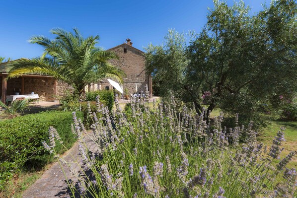 IL VECCHIO MULINO  TOSCANA 