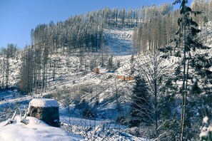 Skidåkning och snöaktiviteter