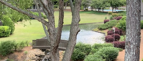 Beautiful view of waterfall and pool from dining area balcony.