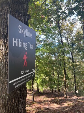 Access the Skyline Trail from the cabin