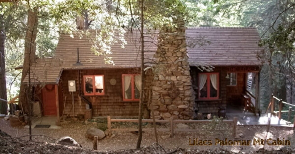 Peaceful 1920s Cozy Cabin surrounded by 100 ft Pines – in Cool Mts.