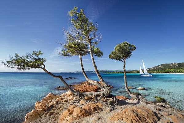 Plage