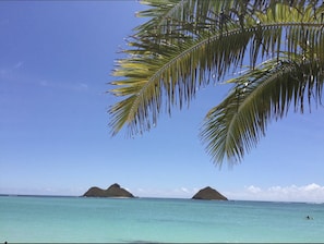 Relax on the beautiful beaches on Oahu