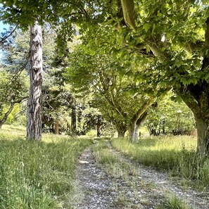 Terrain de l’hébergement 