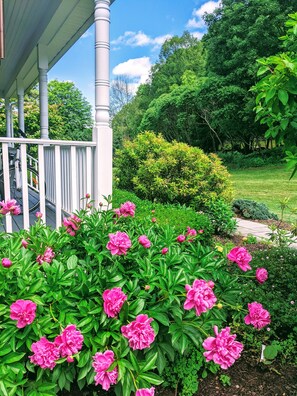 Abundant flower gardens