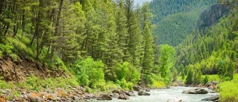 The Gallatin River in late spring