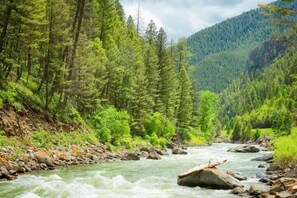 The Gallatin River in late spring