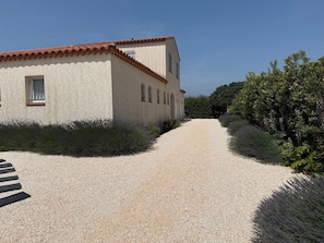 House and Driveway