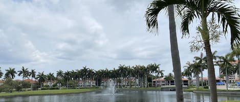 View from the patio. Pool and Spa area visible on the far right of the picture.