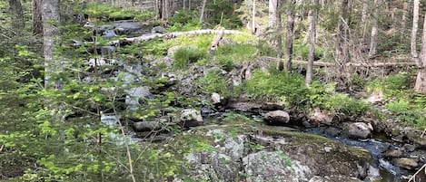 Overnatningsstedets område