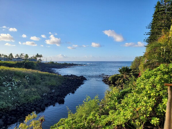Lanai view