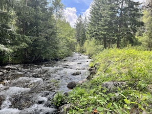Mill Creek running through the property