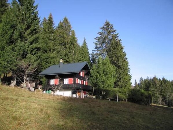 Exteriör