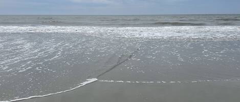 Myrtle Beach near Apache Pier