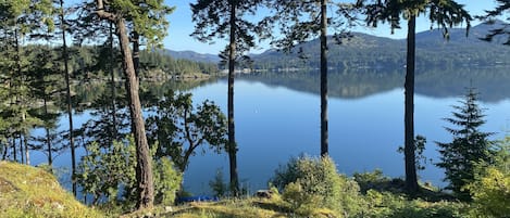 The view of the Sooke Basin