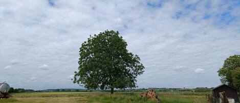 Overnatningsstedets område