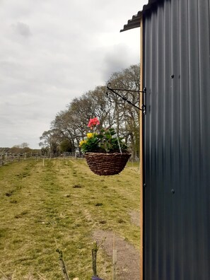Boendeområde