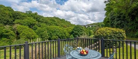 Decking and View