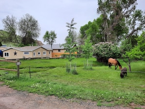 Overnatningsstedets område